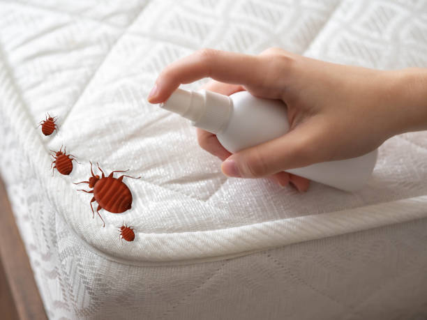 Best Residential Pest Control  in Red Oak, TX